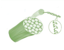 Neural architecture project